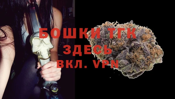 соль ск Алексин